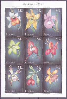 DB1 Flora Orhidee Lesotho MS MNH foto