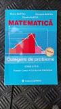 MATEMATICA CULEGERE DE PROBLEME CLASA A X A TRUNCHI COMUN CURRICULUM DIFERENTIAT