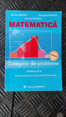 MATEMATICA CULEGERE DE PROBLEME CLASA A X A TRUNCHI COMUN CURRICULUM DIFERENTIAT foto
