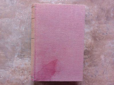 PETRU COMARNESCU - Chipurile si Privelistile AMERICII , 1940 foto