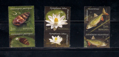 ROMANIA 2008 - REZERVATIA PARAUL PETEA - TABS 4 - LP 1822 foto