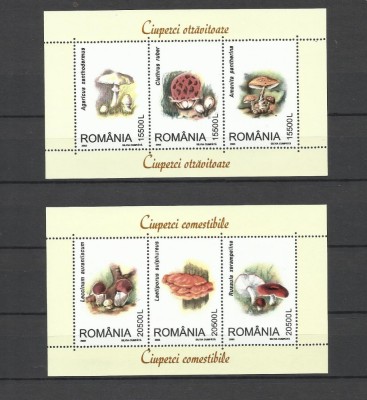 ROMANIA 2003 CIUPERCI foto