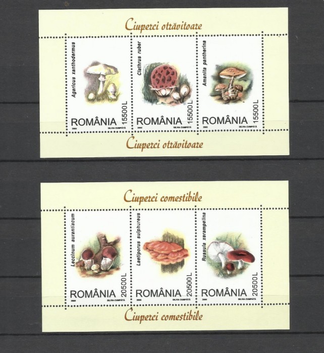 ROMANIA 2003 CIUPERCI