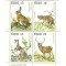 Irlanda 1980 - Fauna, animale, bloc neuzat