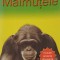 MAIMUTELE-BARBARA TAYLOR-314966