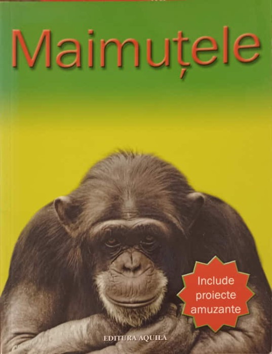 MAIMUTELE-BARBARA TAYLOR-239612