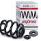 Arc elicoidal Lesjofors 4295019, spate, pentru VW Transporter T4 - RESIGILAT