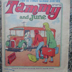 TAMMY AND JUNE , REVISTA PENTRU ADOLESCENTI , CONTINE BENZI DESENATE 1975