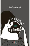 Neantul din oglinda - Stefania Pavel