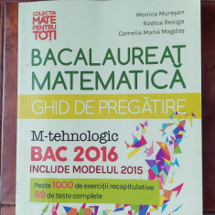 MATEMATICA BACALAUREAT GHID DE PREGATIRE M TEHNOLOGIC MURESAN RESIGA