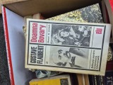 Doamna Bovary vintage