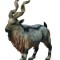 Figurina capra salbatica tadjik markhor