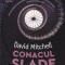 David Mitchell - Conacul Slade