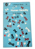Human Heredity / C.O. Carter