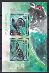 BOSNIA POSTA CROATA 2021 EUROPA CEPT FAUNA SPECII PROTEJATE PASARI foto