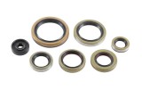 Set simeringuri motor KTM SX 250 16- 22, XC 250 17- 22, XC 300 17- 22, XC-W 250 17- 22, Husqvarna TC 250 17- 22 , Gas Gas EC MC 250 300 21- 22, Vertex