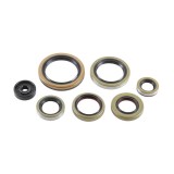 Set simeringuri motor KTM SX 250 16- 22, XC 250 17- 22, XC 300 17- 22, XC-W 250 17- 22, Husqvarna TC 250 17- 22 , Gas Gas EC MC 250 300 21- 22