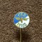 Insigna fotbal - CFR TEIUS (varianta 2)