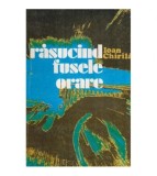 Ioan Chirila - Rasucind fusele orare - 119989