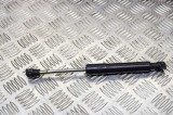 Amortizor haion st&acirc;nga RENAULT ZOE BFM_ 2015 OEM: 654707388R 11785717