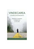 Cumpara ieftin VINDECAREA - Lucrare duhovnicesca