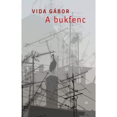 A bukfenc - Vida G&amp;aacute;bor foto