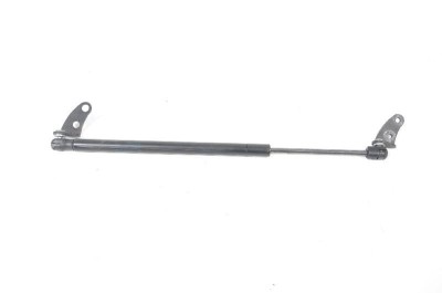 Amortizor capota dreapta față TESLA MODEL S 2016 OEM: 1062634-00-A 3031122 foto