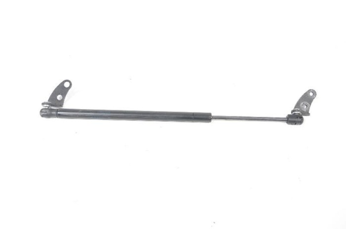 Amortizor capota dreapta față TESLA MODEL S 2016 OEM: 1062634-00-A 3031122