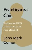 Practicarea Căii - Paperback brosat - John Mark Comer - Adevăr divin