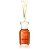 Millefiori Milano Vanilla &amp; Wood difuzor de aroma 500 ml