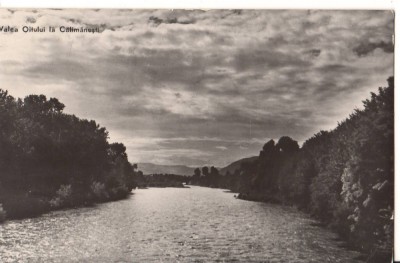 CPIB 22665 - CARTE POSTALA - VALEA OLTULUI LA CALIMANESTI, RPR foto