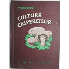 Cultura ciupercilor &ndash; M. Bulboaca