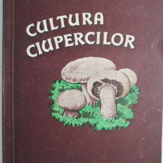 Cultura ciupercilor – M. Bulboaca