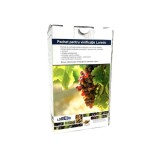 Pachet vinificatie 500L pentru vin alb-Loredo