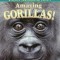 Amazing Gorillas!