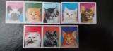Paraguay-Fauna,pisici domestice-serie completa ,nestampilate MNH (C1)