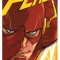 The Flash, Volume 1: Lightning Strikes Twice (Rebirth)