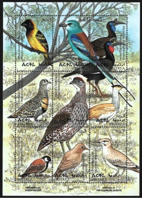 ERITREA 1998 FAUNA PASARI foto
