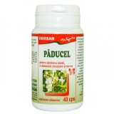 PADUCEL 40cps FAVISAN