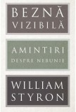 Beznă vizibilă William Styron - Art