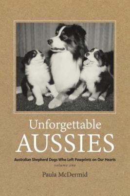 Unforgettable Aussies: Australian Shepherd Dogs Who Left Pawprints on Our Hearts foto