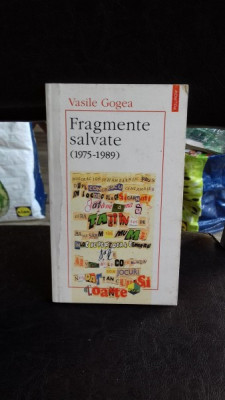 FRAGMENTE SALVATE (1975-1989) - VASILE GOGEA foto