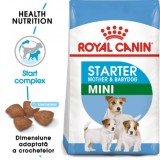 Royal Canin Mini Starter Mother &amp; Babydog, hrana uscata pentru caini, 4 kg