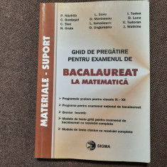 GHID DE PREGATIRE BACALAUREAT MATEMATICA PETRE NACHILA 2003