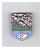 Insigna AJVPS Botosani, stare buna