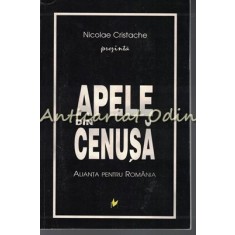 Apele Din Cenusa - Nicolae Cristache