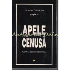 Apele Din Cenusa - Nicolae Cristache