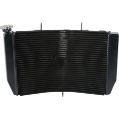 Radiator Honda CBR954 CBR 954RR 2002 2003