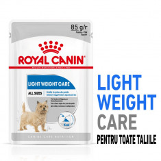 Royal Canin Light Weight Care Adult hrană umedă câine, limitarea creșterii în greutate (pate), 12 x 85g