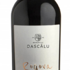 Vin rosu - Rogova, Merlot, sec, 2016 | Domeniile Dascalu